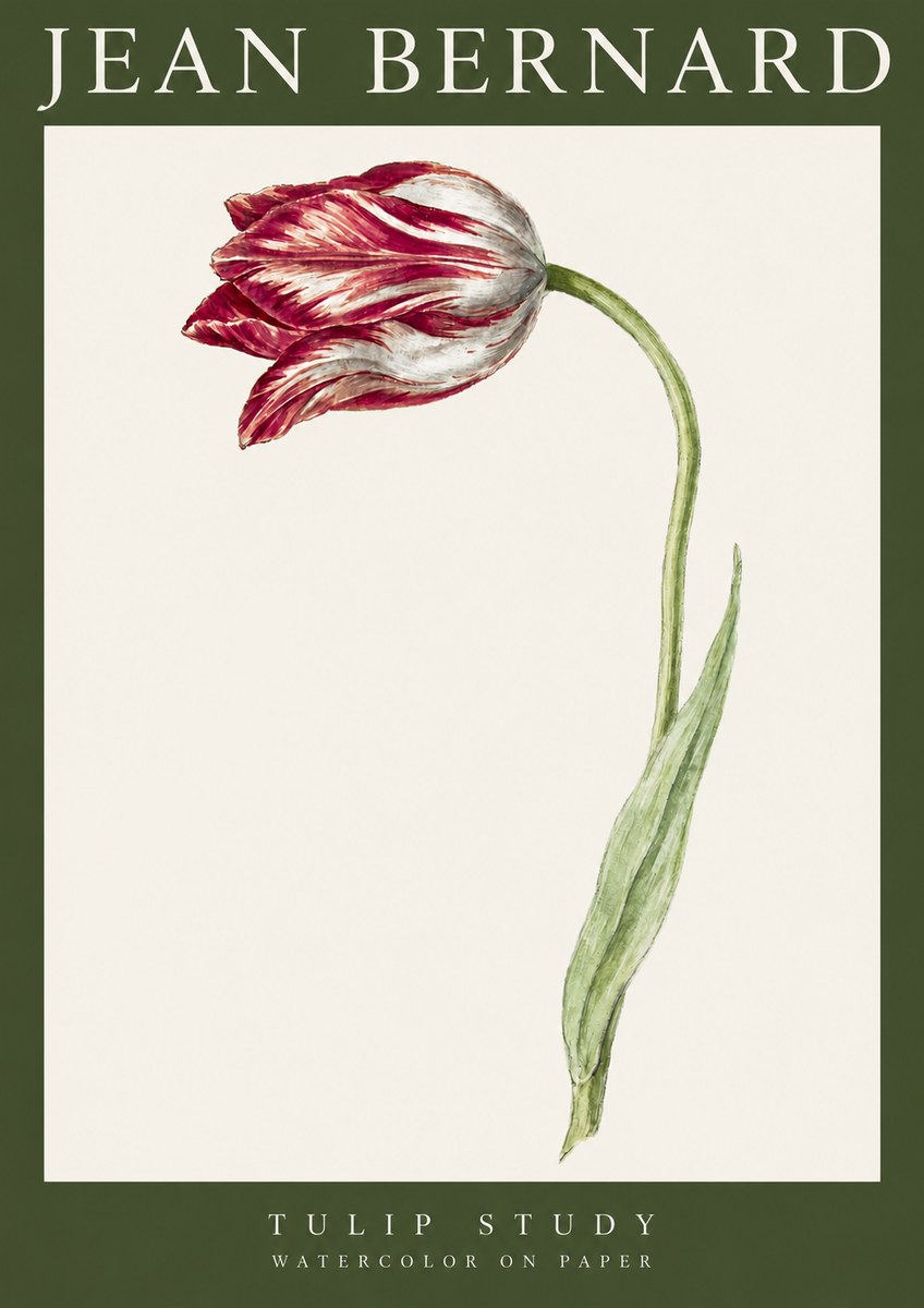 Jean Bernard Tulip Study No3 - Poszter