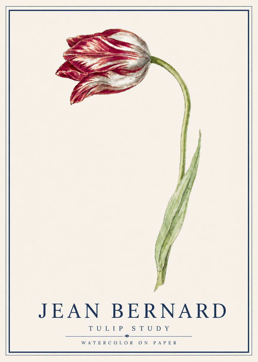 Jean Bernard Tulip Study No5 - Poszter
