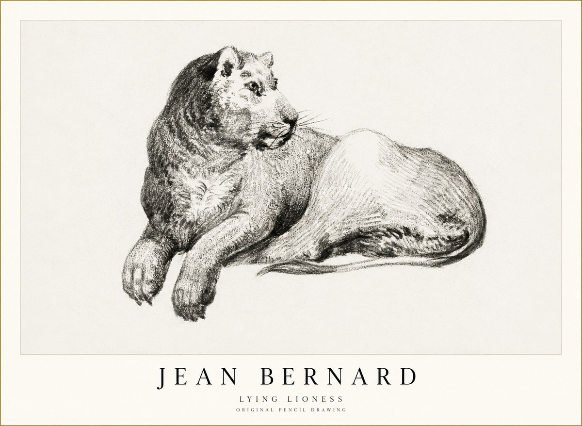 Jean Bernard Lying Lioness No1 - Poszter