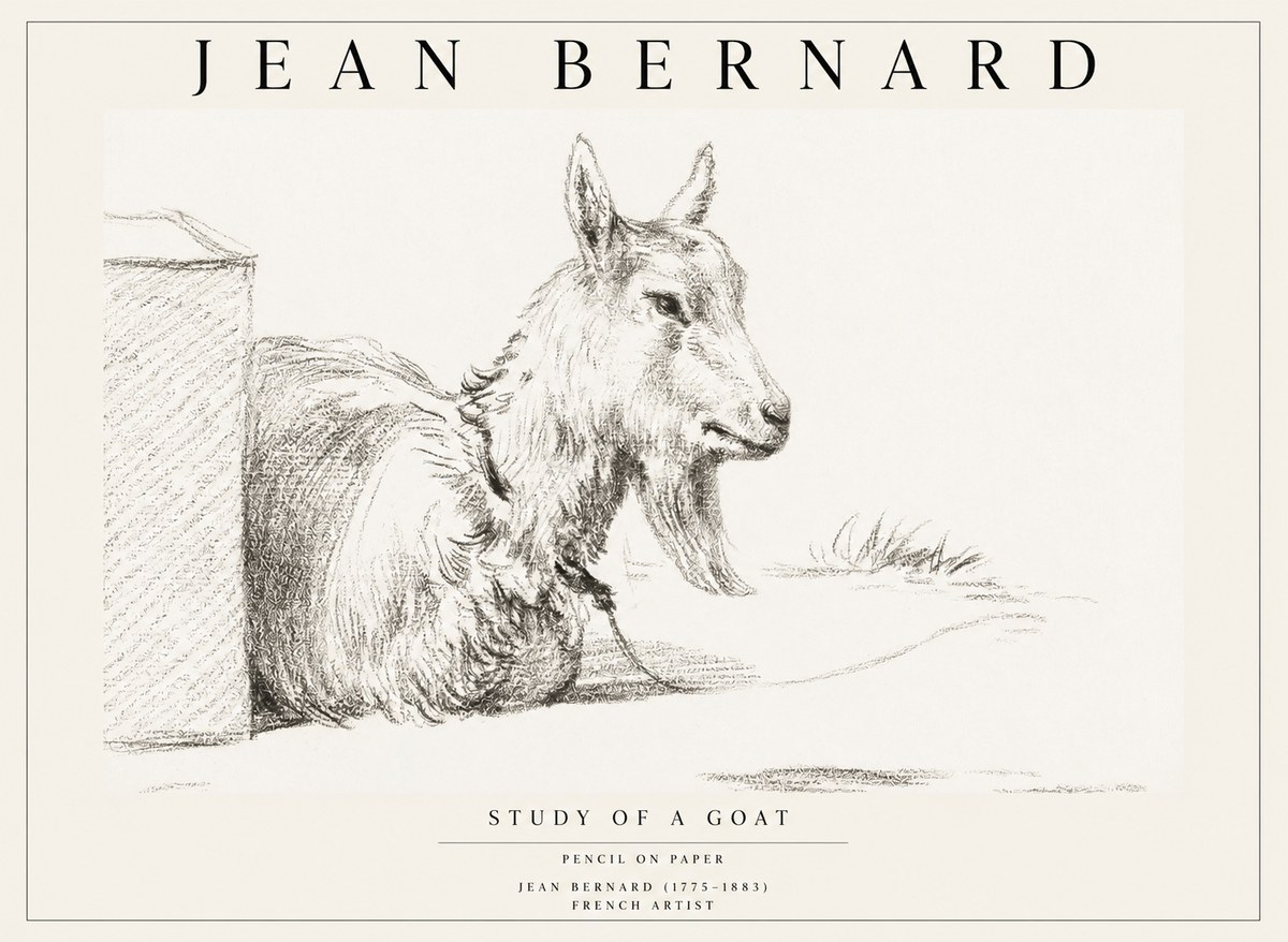 Jean Bernard Study of a Goat IV No1 - Poszter