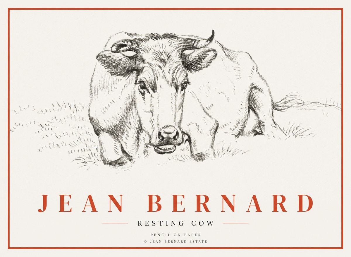 Jean Bernard Resting Cow II No3 - Poszter