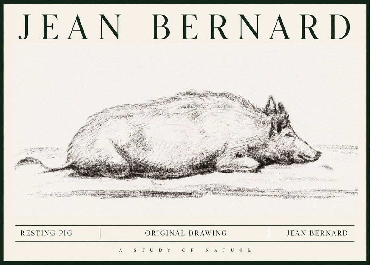 Jean Bernard Resting Pig I No1 - Poszter