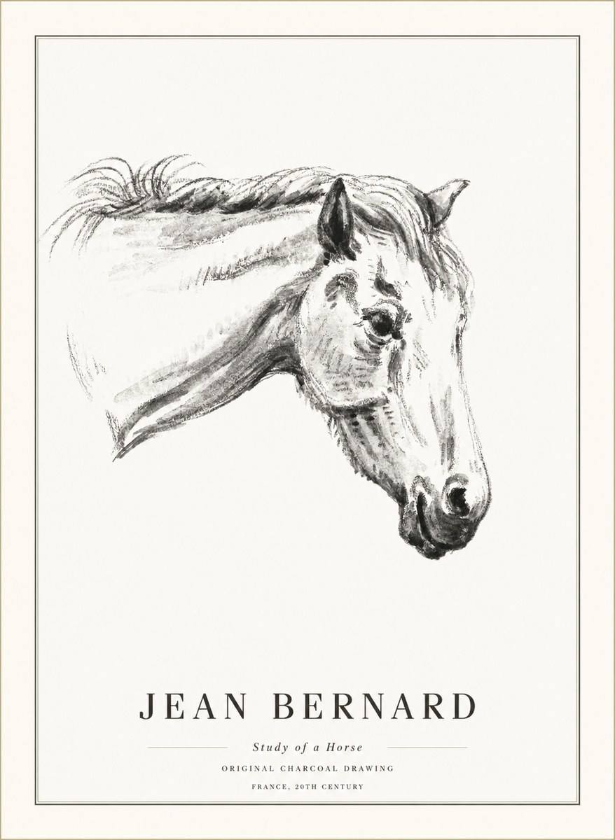 Jean Bernard Study of a Horse VIII No5 - Poszter