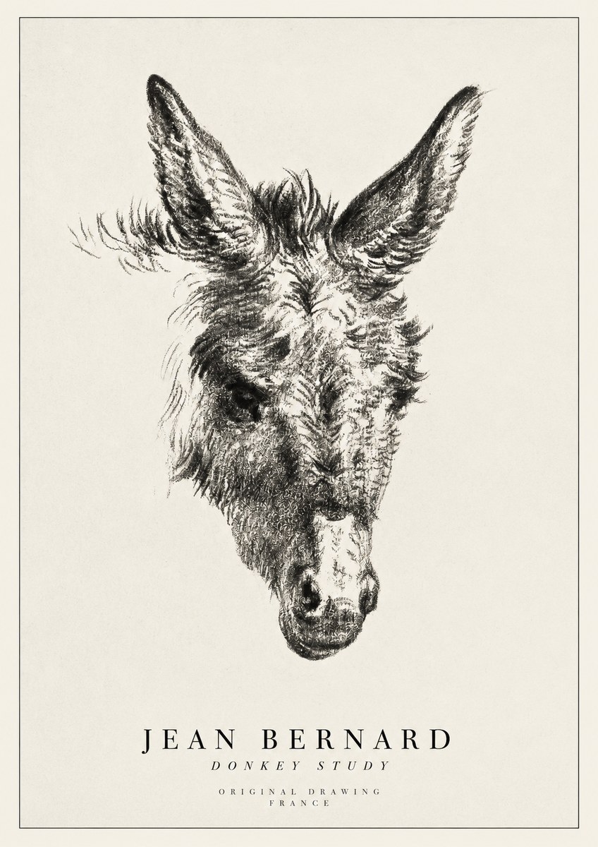 Jean Bernard Donkey Study IV No1 - Poszter