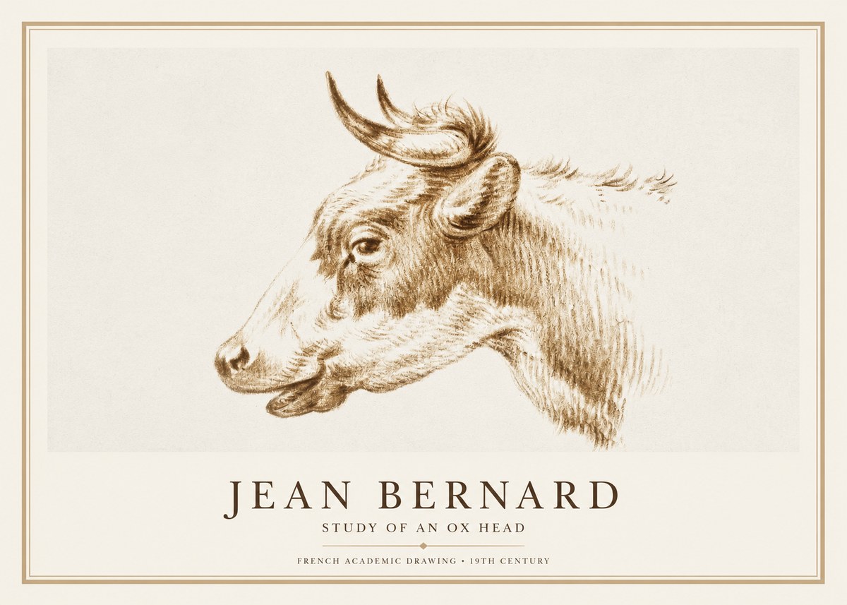 Jean Bernard Bovine Study II No3 - Poszter