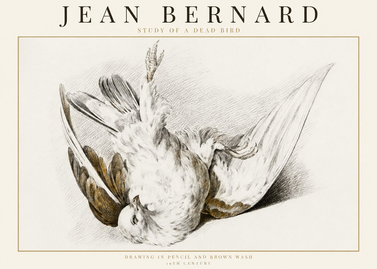 Jean Bernard Study of a Dead Bird No1 - Poszter