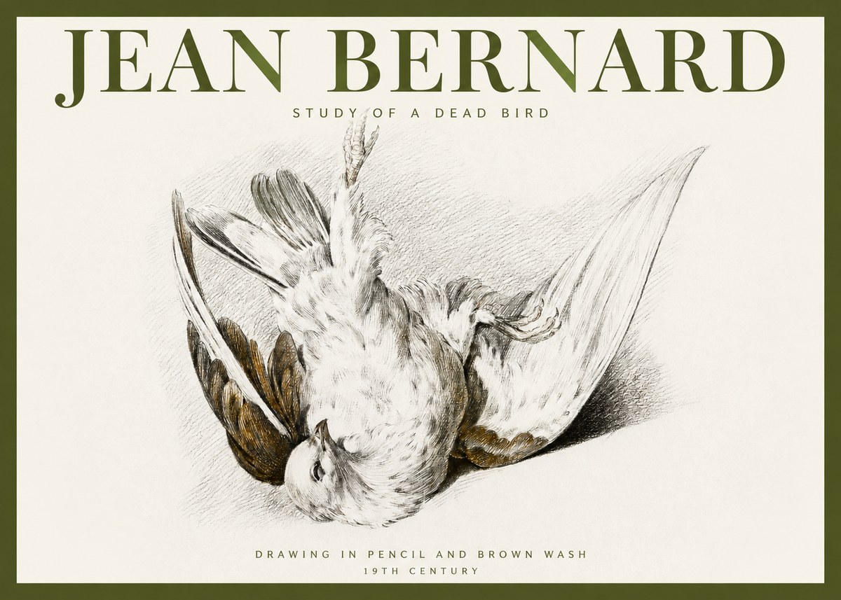 Jean Bernard Study of a Dead Bird No2 - Poszter