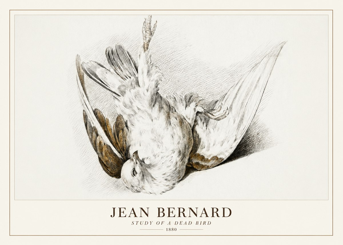 Jean Bernard Study of a Dead Bird No3 - Poszter