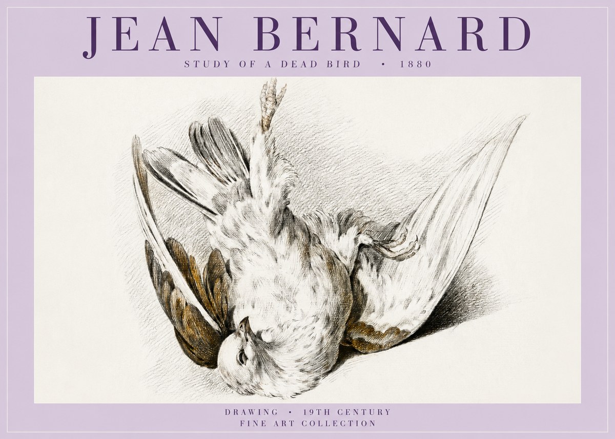 Jean Bernard Study of a Dead Bird No5 - Poszter