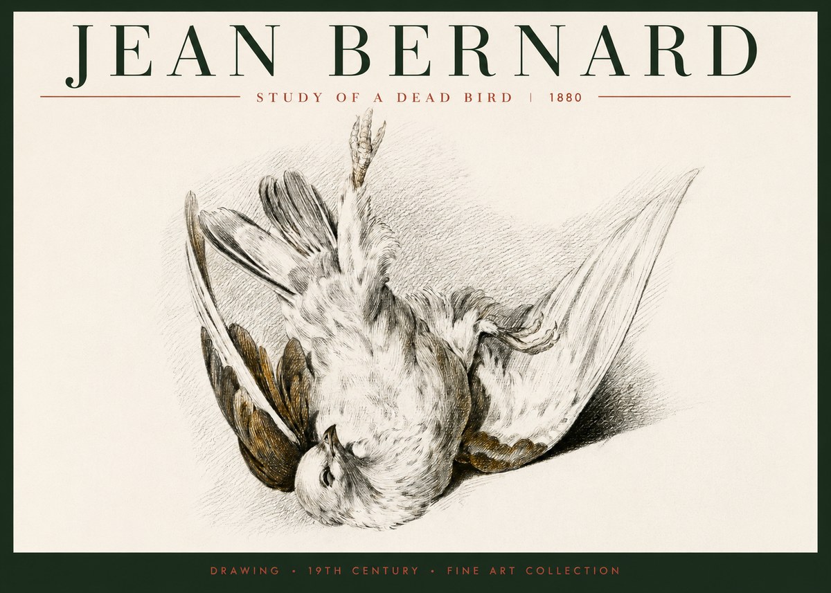 Jean Bernard Study of a Dead Bird No6 - Poszter