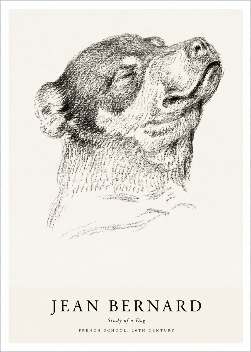 Jean Bernard Study of a Dog III No1 - Poszter
