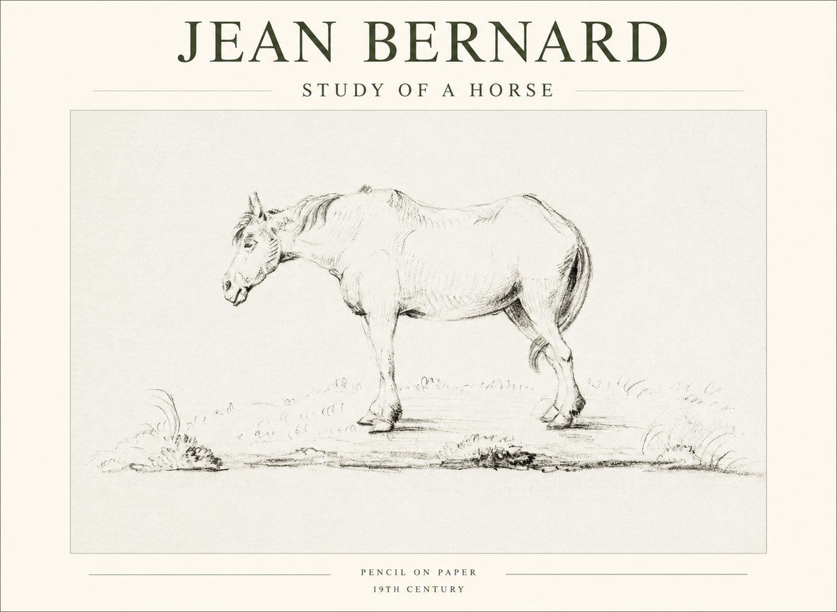 Jean Bernard Study of a Horse IX No1 - Poszter