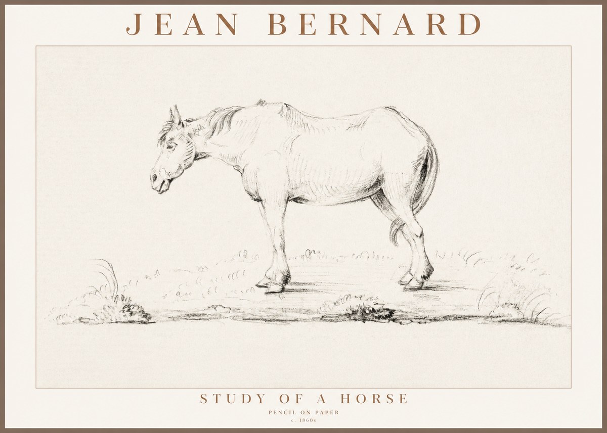 Jean Bernard Study of a Horse IX No3 - Poszter