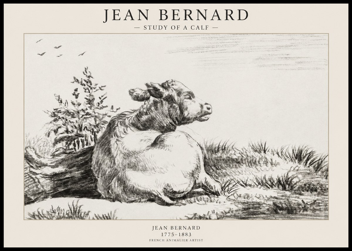 Jean Bernard Study of a Calf III No1 - Poszter