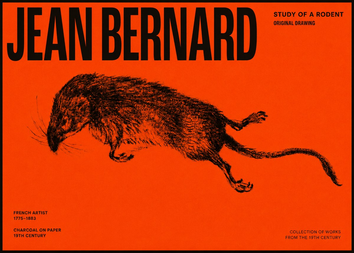 Jean Bernard Study of a Rat II No6 - Poszter