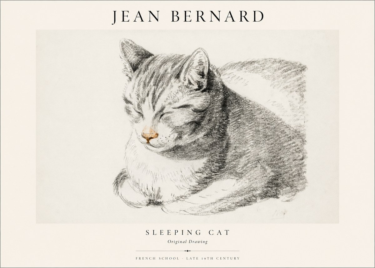 Jean Bernard Sleeping Cat VI No1 - Poszter