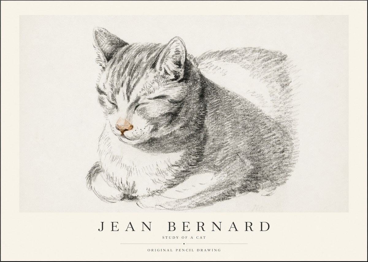 Jean Bernard Sleeping Cat VI No2 - Poszter