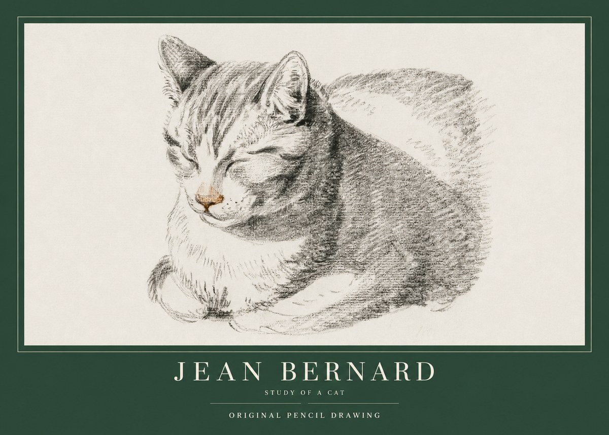 Jean Bernard Sleeping Cat VI No4 - Poszter