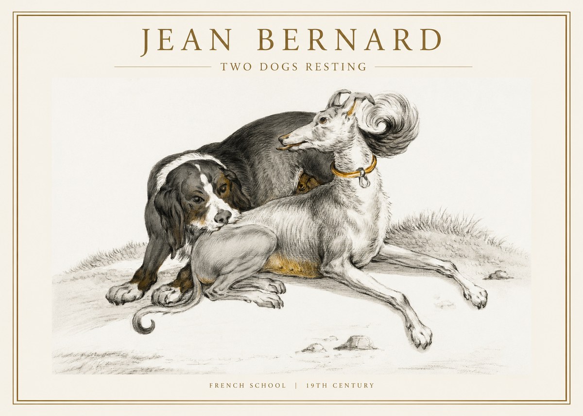 Jean Bernard Two Dogs Resting No1 - Poszter