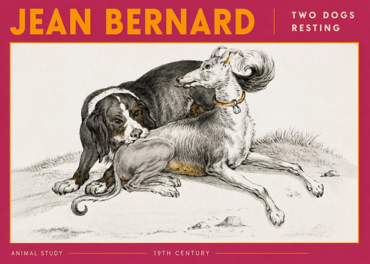 Jean Bernard Two Dogs Resting No6 - Poszter