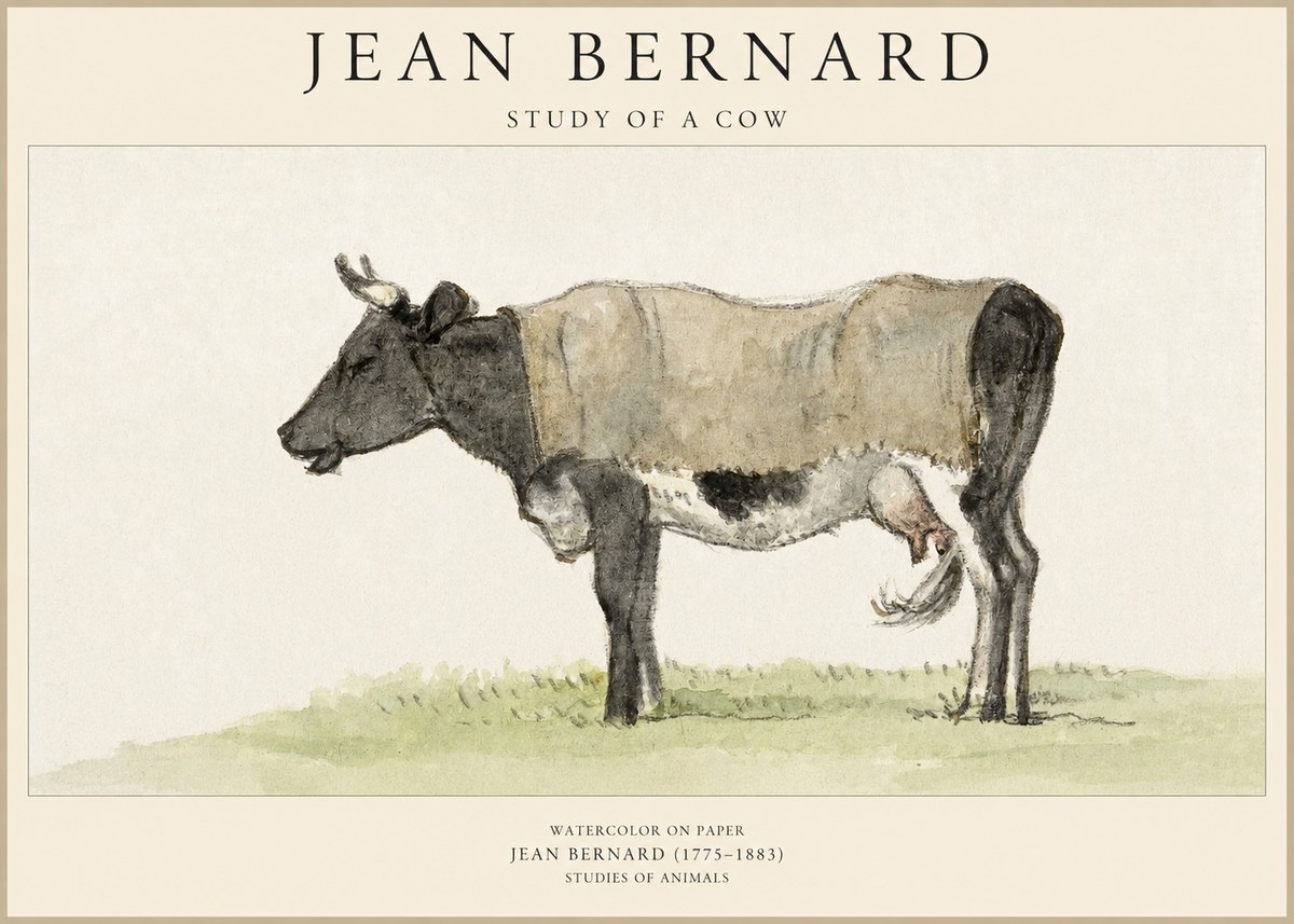 Jean Bernard Study of a Cow IX No6 - Poszter