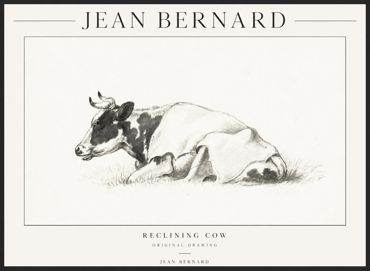 Jean Bernard Reclining Cow II No1 - Poszter