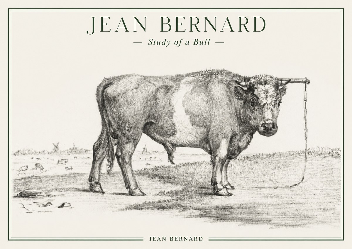 Jean Bernard Study of a Bull III No1 - Poszter