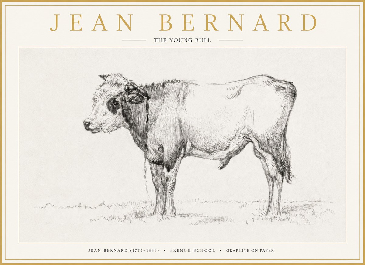 Jean Bernard The Young Bull No1 - Poszter