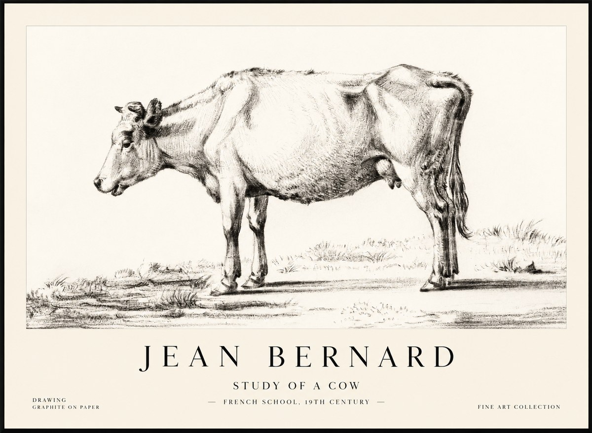 Jean Bernard Study of a Cow XI No2 - Poszter