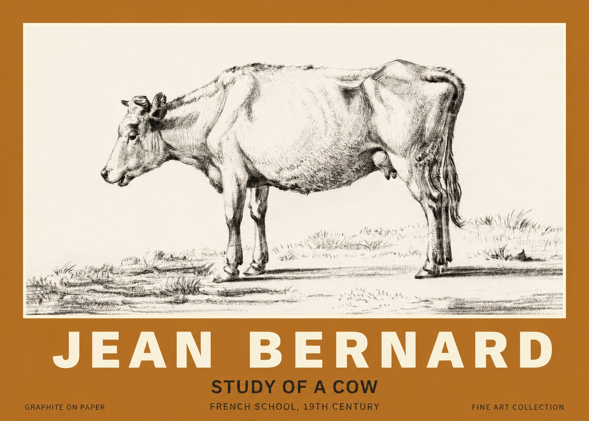 Jean Bernard Study of a Cow XI No3 - Poszter