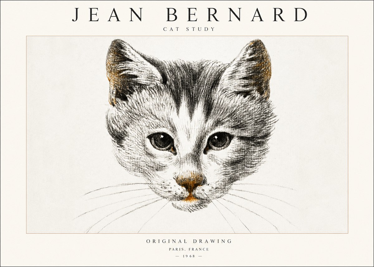 Jean Bernard Cat Study IX No6 - Poszter