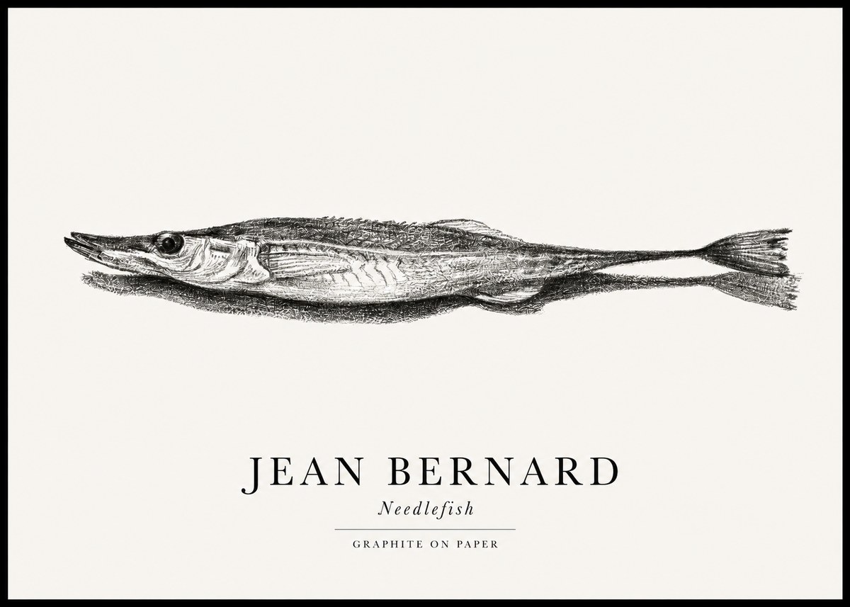 Jean Bernard Needlefish No1 - Poszter