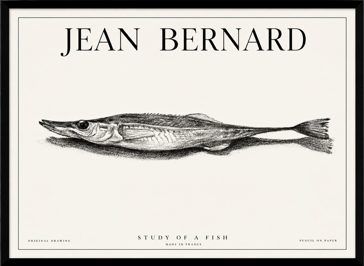 Jean Bernard Needlefish No6 - Poszter