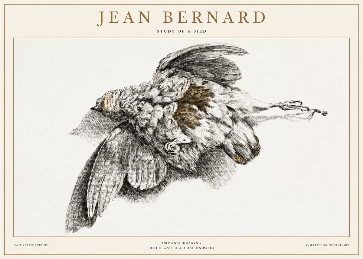 Jean Bernard Study of a Bird III No1 - Poszter