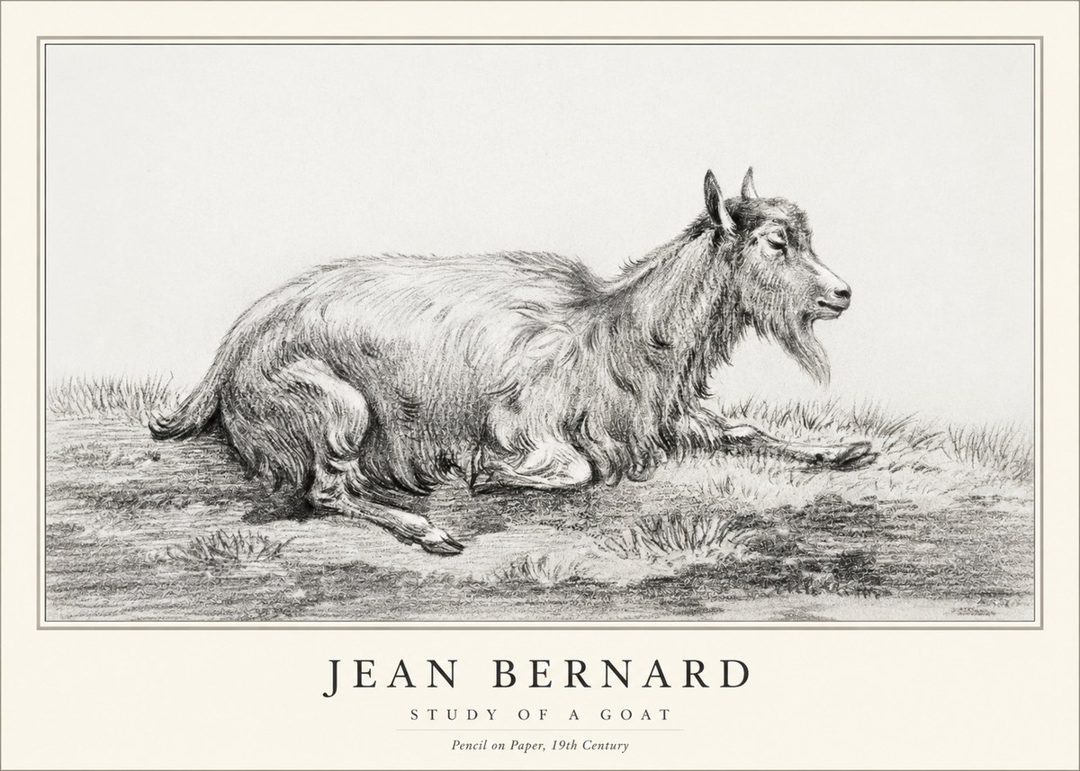 Jean Bernard Study of a Goat V No1 - Poszter