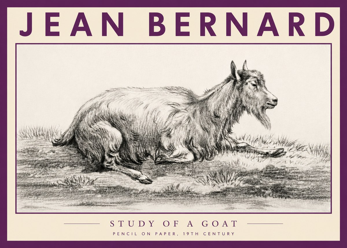 Jean Bernard Study of a Goat V No3 - Poszter