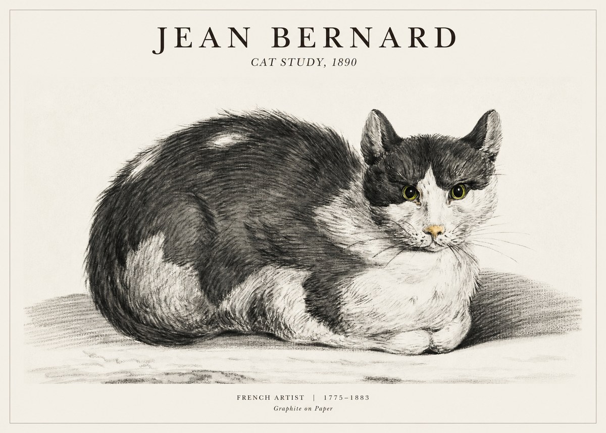 Jean Bernard Cat Resting No3 - Poszter