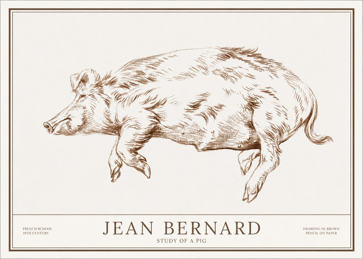 Jean Bernard Study of a Pig II No1 - Poszter