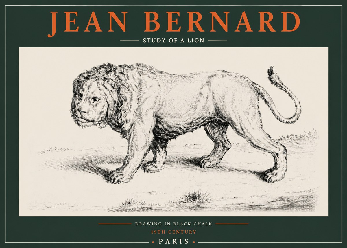 Jean Bernard Study of a Lion II No2 - Poszter