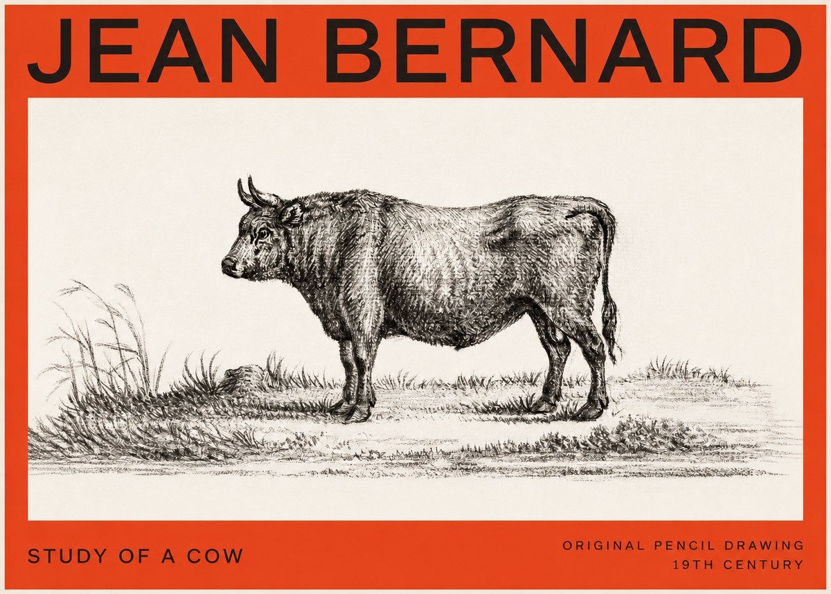 Jean Bernard Study of a Cow XIII No4 - Poszter
