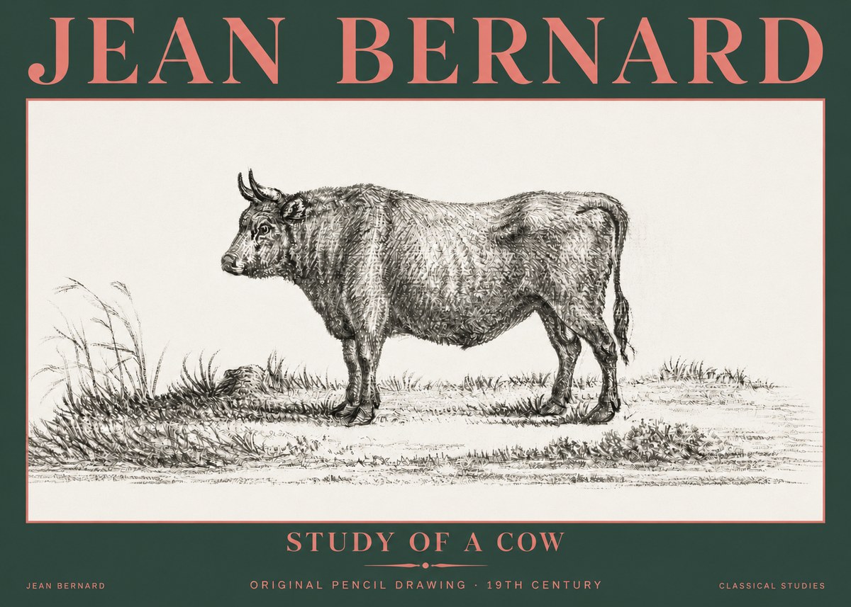 Jean Bernard Study of a Cow XIII No5 - Poszter
