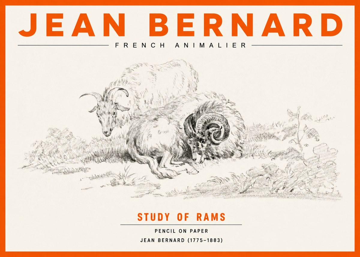 Jean Bernard Study of Sheep No3 - Poszter