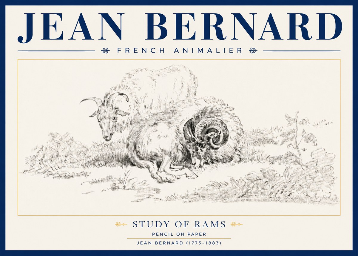 Jean Bernard Study of Sheep No4 - Poszter