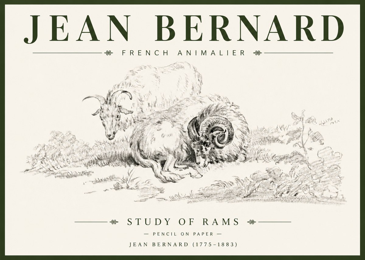 Jean Bernard Study of Sheep No6 - Poszter