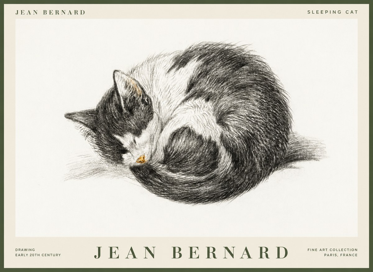 Jean Bernard Sleeping Cat VIII No1 - Poszter