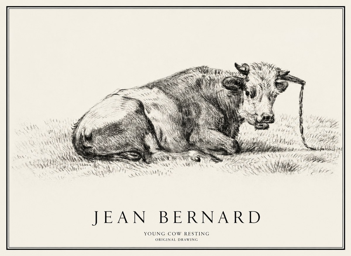Jean Bernard Young Cow Resting No1 - Poszter
