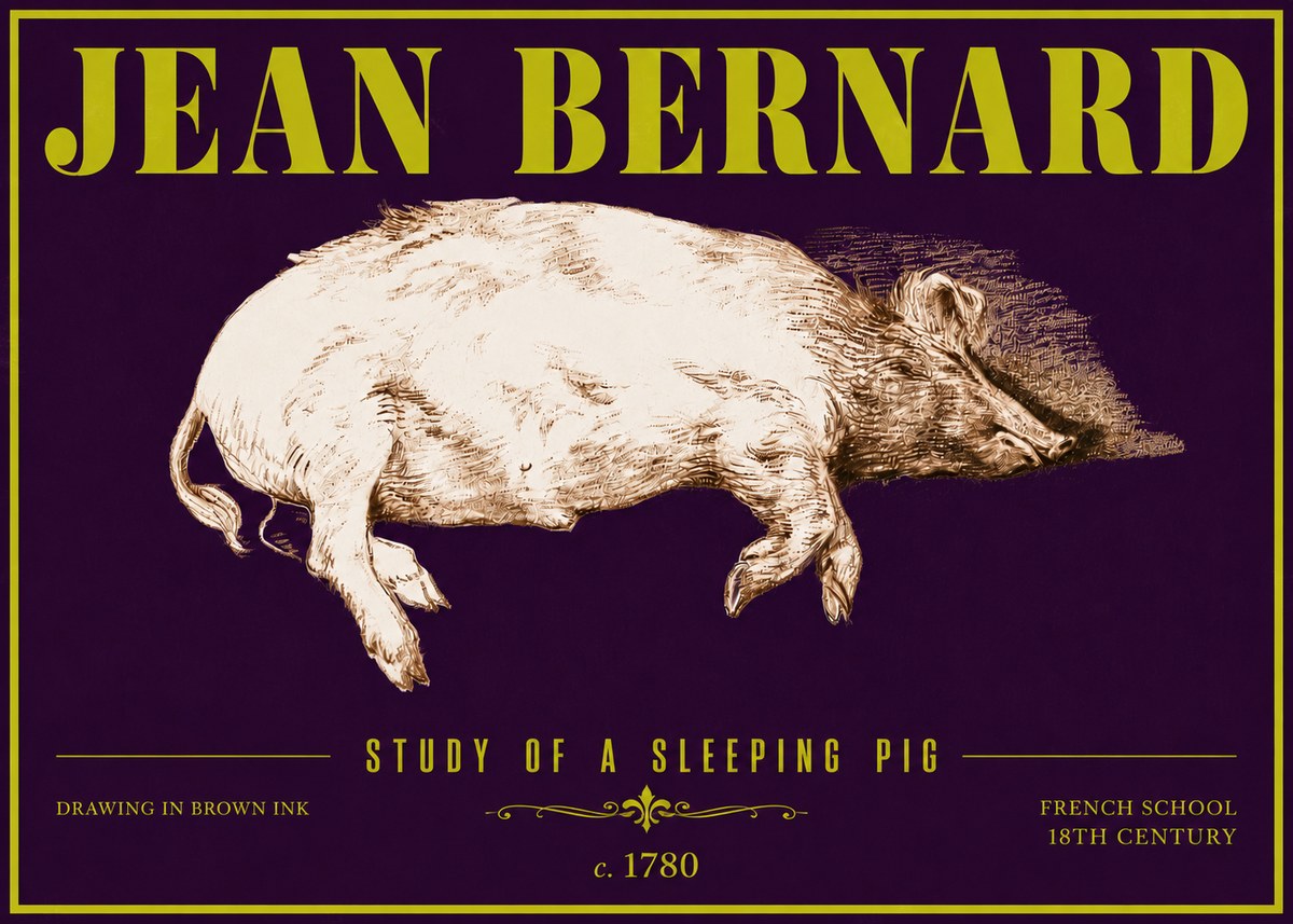 Jean Bernard Study of a Sleeping Pig No6 - Poszter