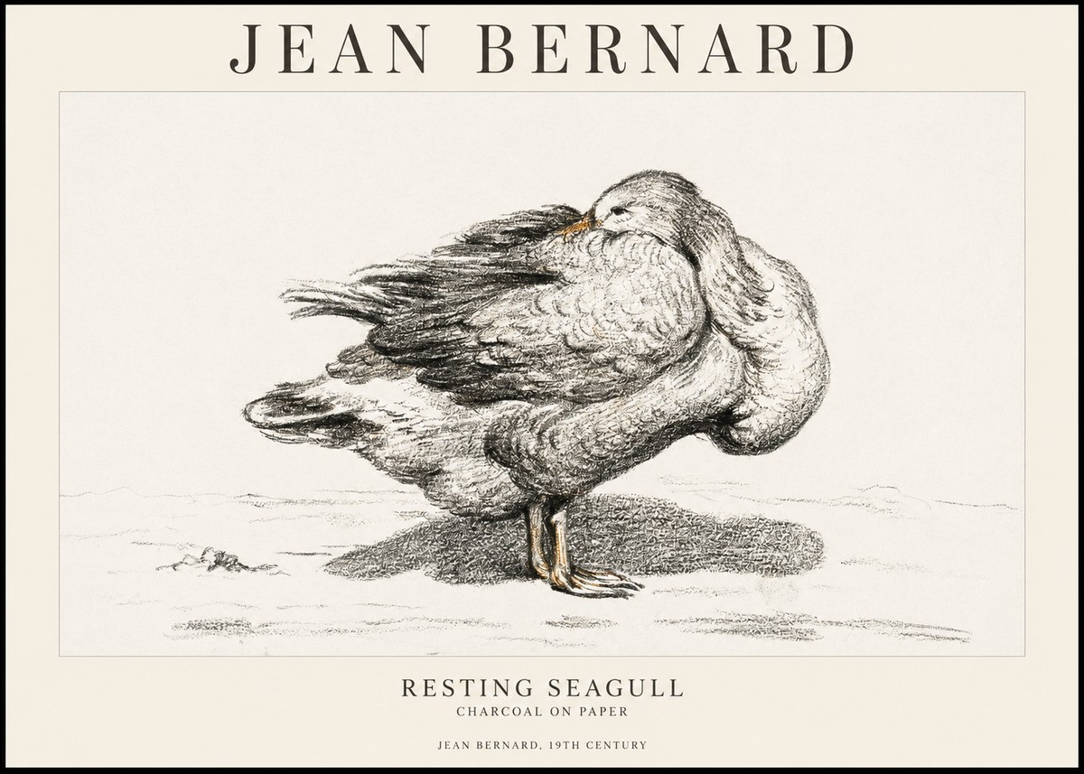 Jean Bernard Resting Seagull No1 - Poszter
