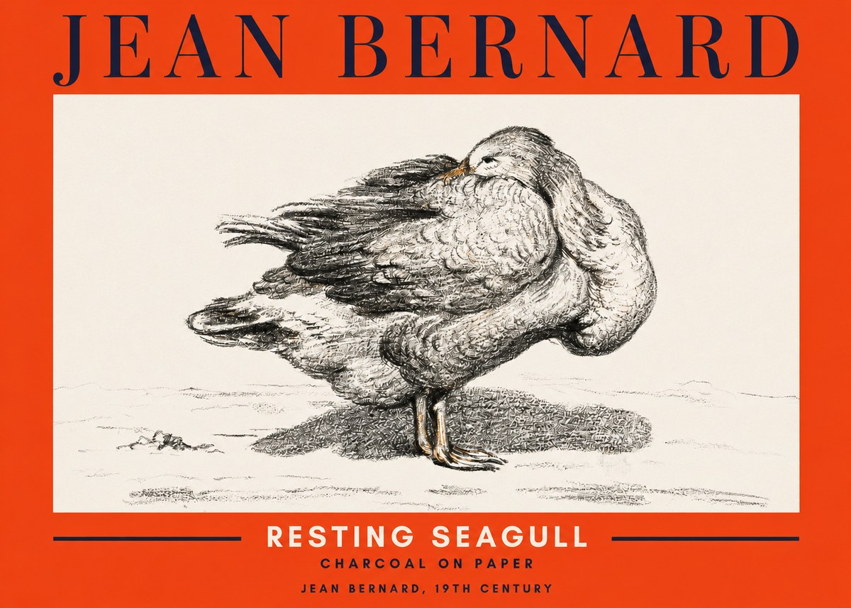 Jean Bernard Resting Seagull No2 - Poszter