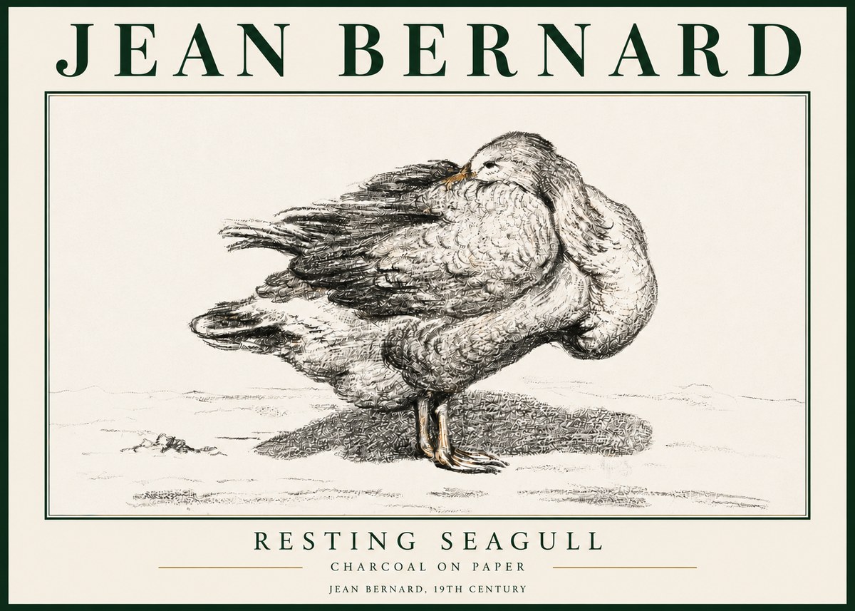 Jean Bernard Resting Seagull No3 - Poszter